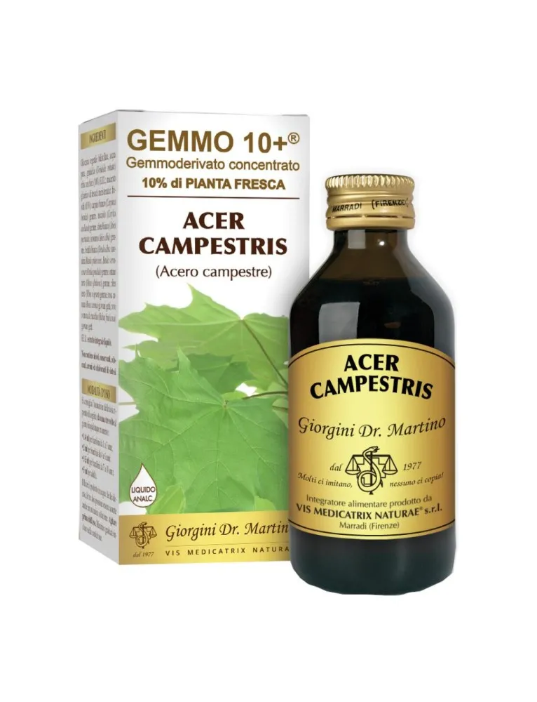 ACERO CAMP 100ML ANALCO GEM10+